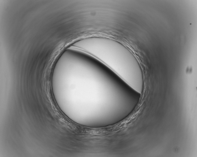 X0000092090241200709121131