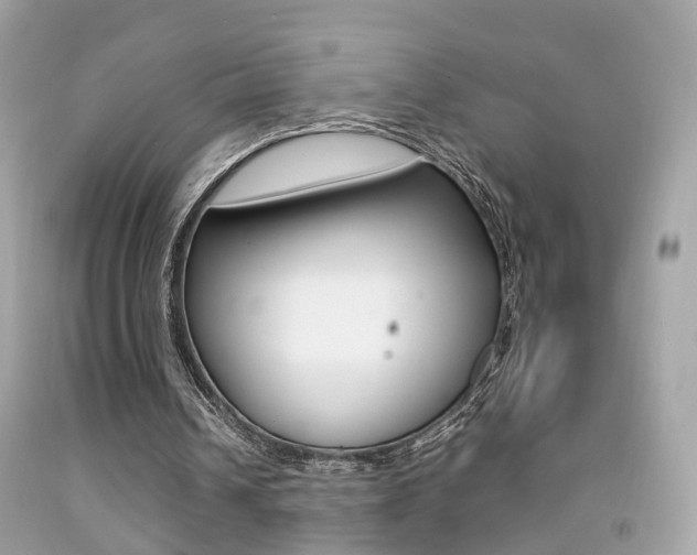 X0000092090242200709121131