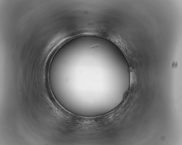 X0000092090243200709121131