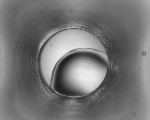 X0000092090244200709121131