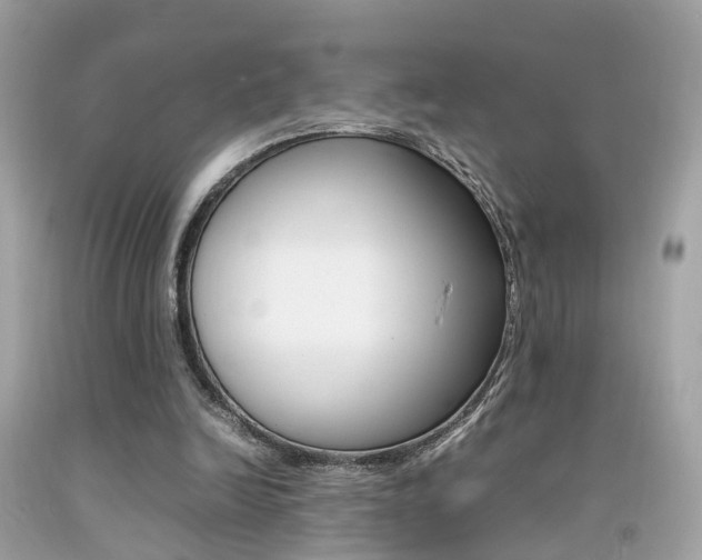 X0000092090246200709121131