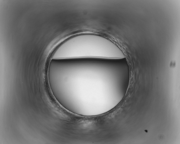 X0000092090247200709121131