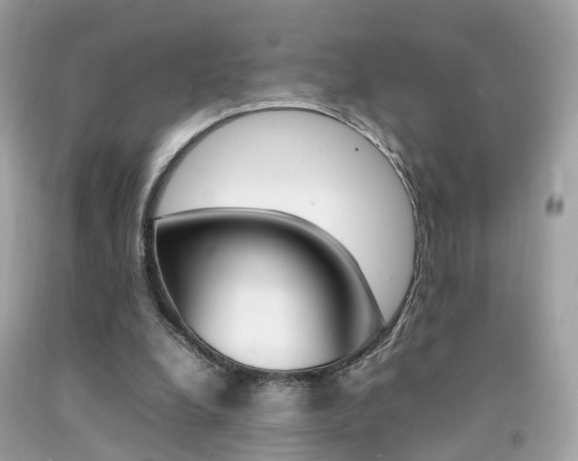 X0000092090248200709121131