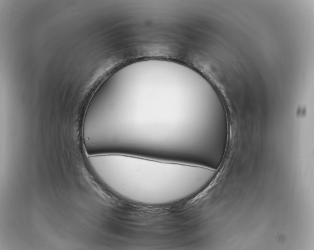 X0000092090249200709121131