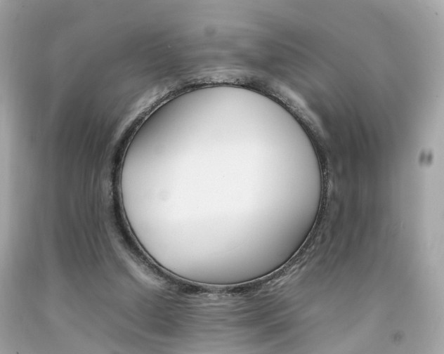 X0000092090250200709121132