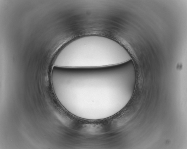 X0000092090251200709121132