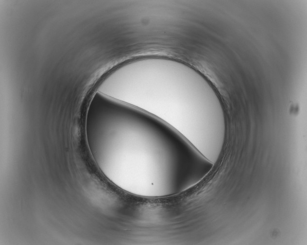 X0000092090252200709121132