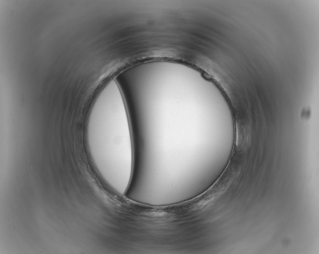 X0000092090253200709121132