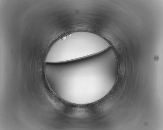 X0000092090255200709121132