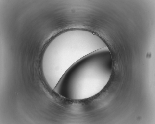 X0000092090256200709121132