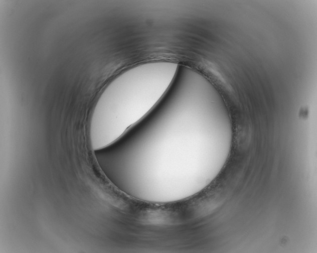 X0000092090259200709121132