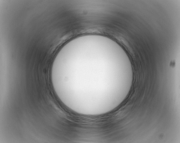 X0000092090260200709121132