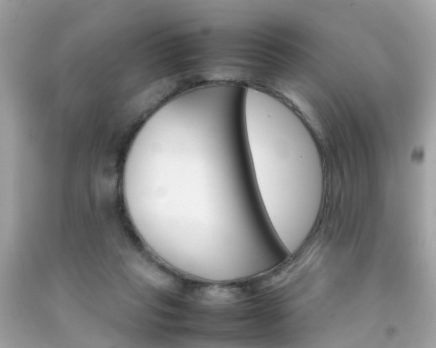 X0000092090261200709121132