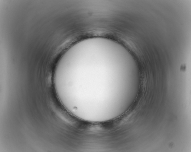 X0000092090262200709121132
