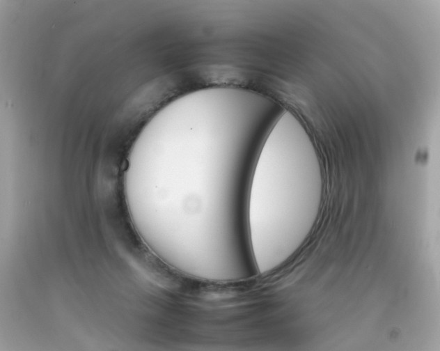X0000092090263200709121132