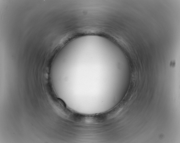 X0000092090264200709121132