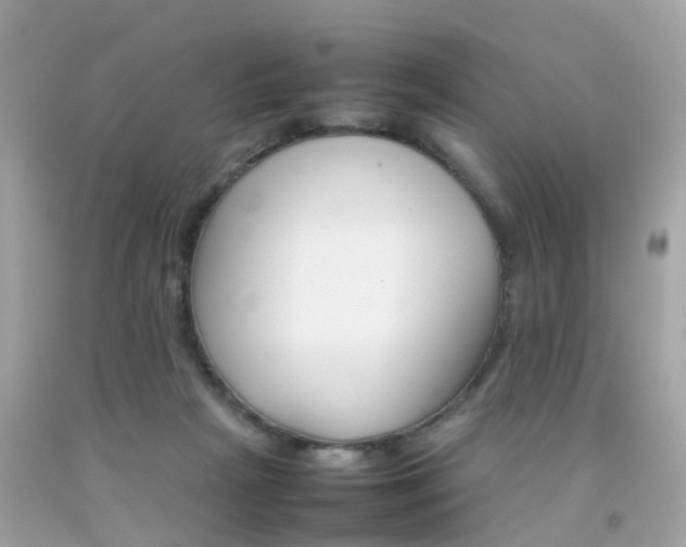 X0000092090265200709121132