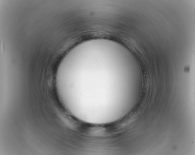 X0000092090266200709121132