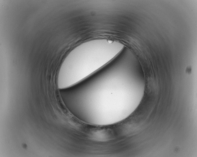 X0000092090267200709121132