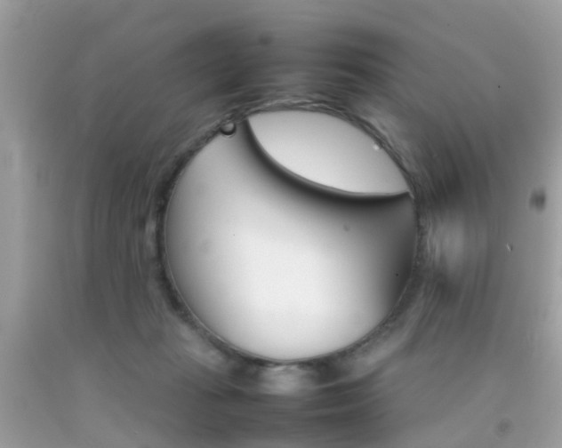 X0000092090269200709121132