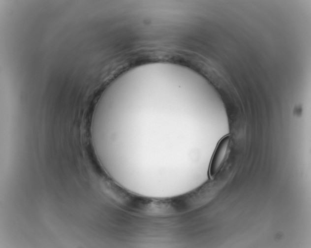 X0000092090270200709121132