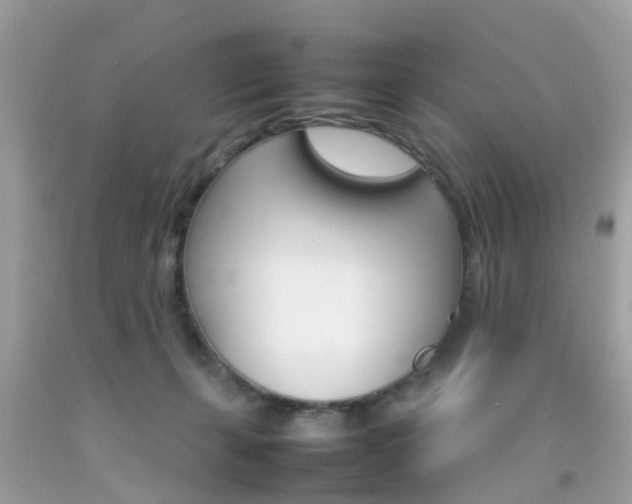 X0000092090271200709121132