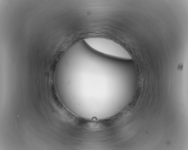 X0000092090272200709121132