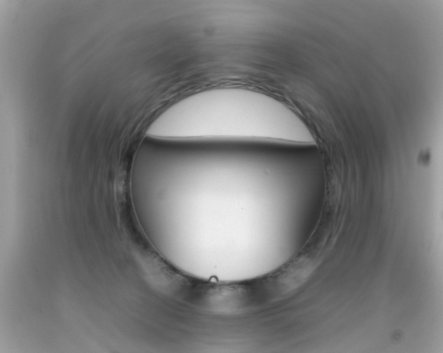 X0000092090274200709121132