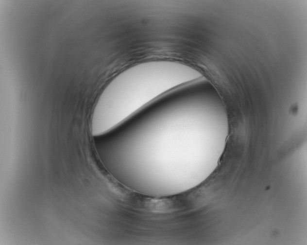 X0000092090277200709121132