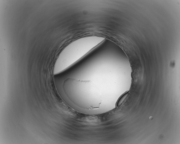 X0000092090279200709121132