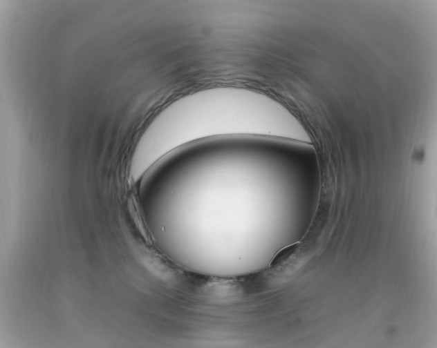 X0000092090280200709121132