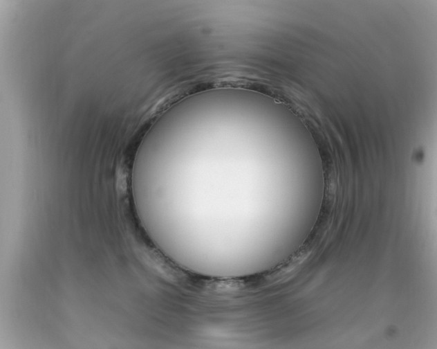 X0000092090282200709121132