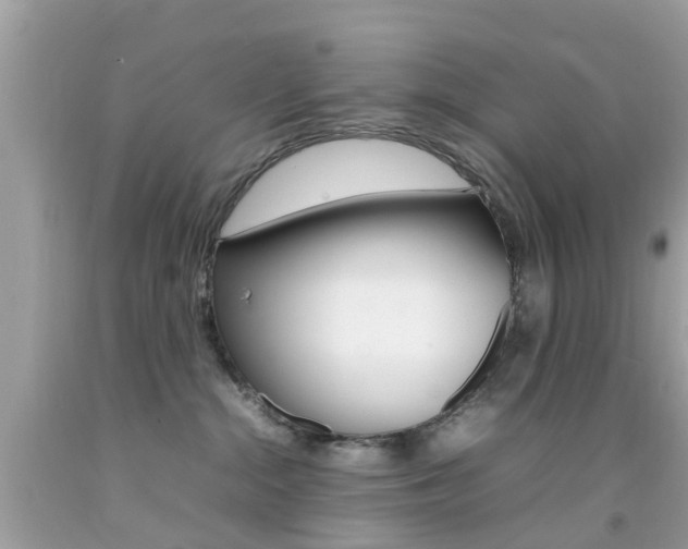 X0000092090284200709121132