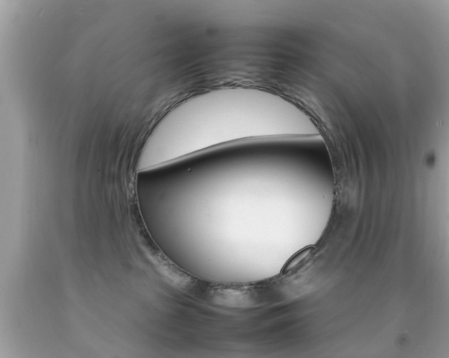 X0000092090285200709121132