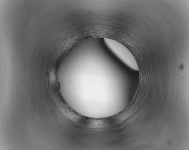 X0000092090287200709121132