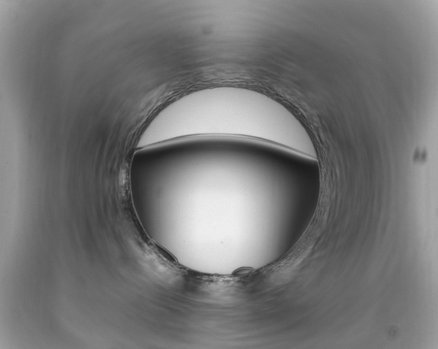 X0000092090288200709121132