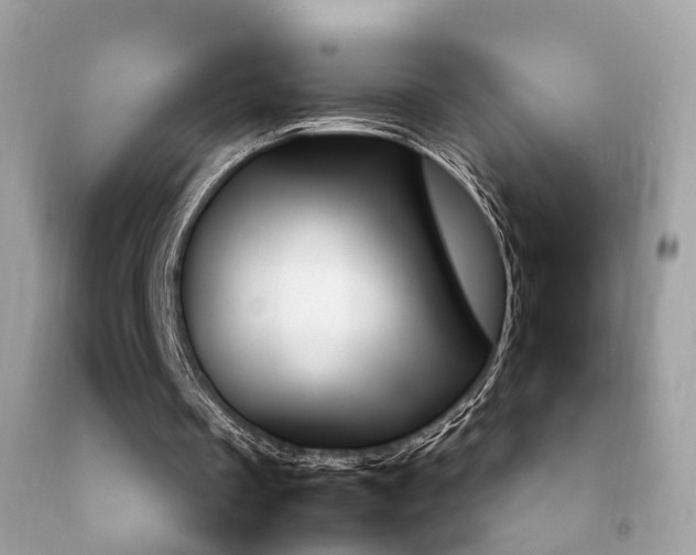 X0000092090289200709121131