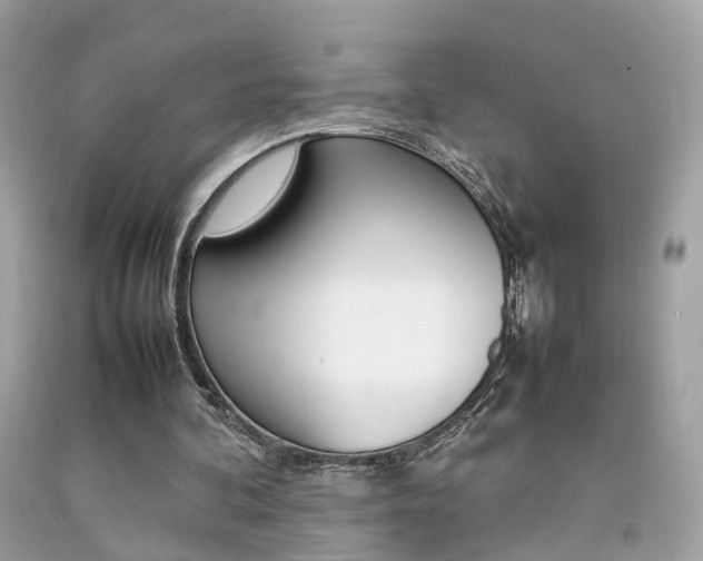 X0000092090292200709121131