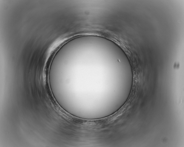 X0000092090294200709121131
