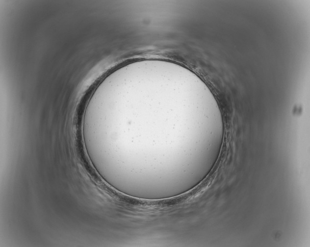 X0000092090295200709121131