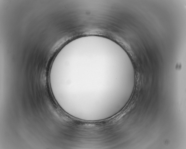 X0000092090298200709121131