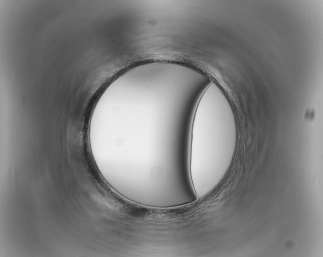 X0000092090299200709121131