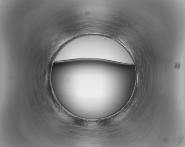 X0000092090301200709121131