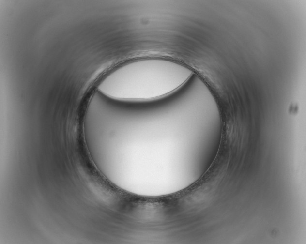 X0000092090304200709121131