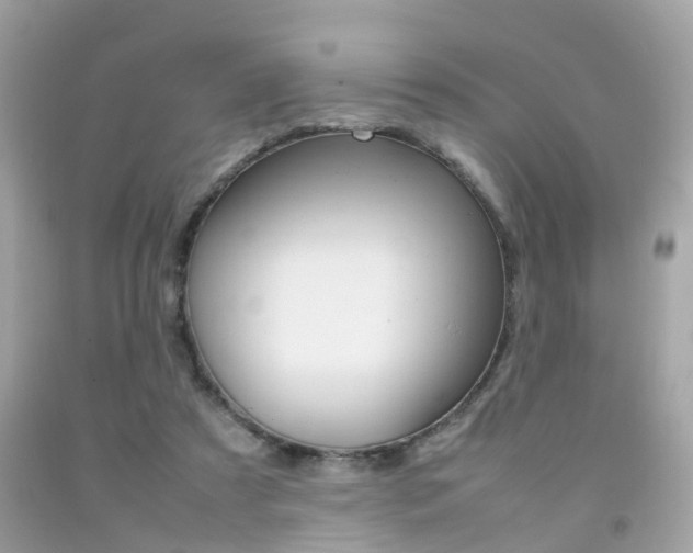 X0000092090305200709121131