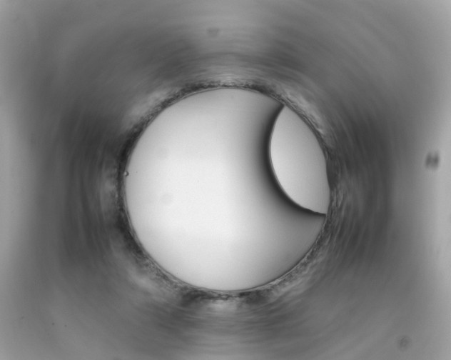 X0000092090306200709121131