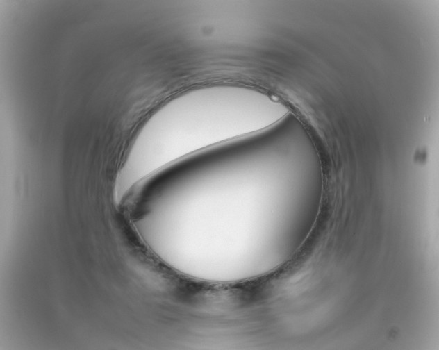 X0000092090307200709121131