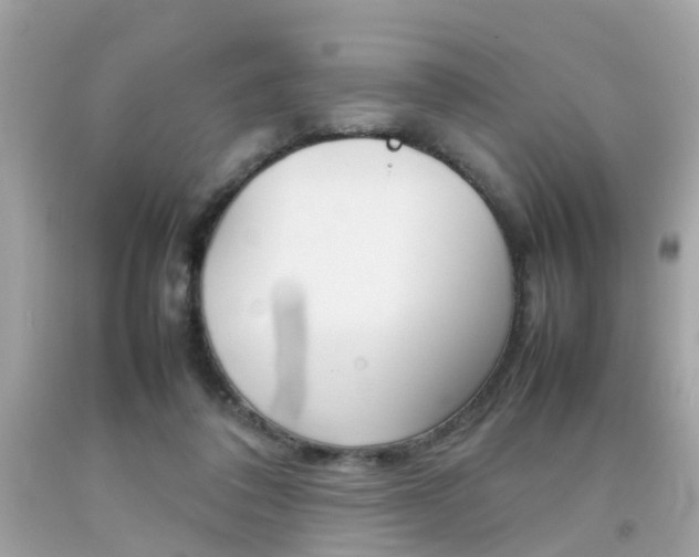 X0000092090308200709121131