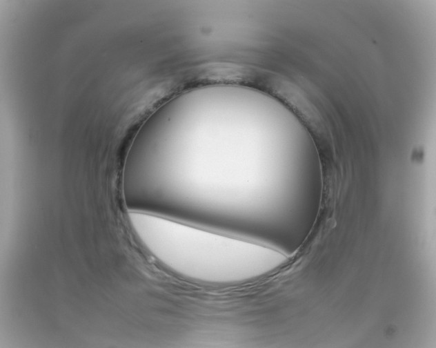 X0000092090309200709121131