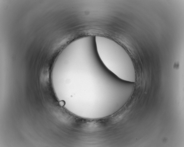 X0000092090310200709121131